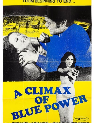 Экстаз Синей Власти / A Climax of Blue Power (1974, HD)