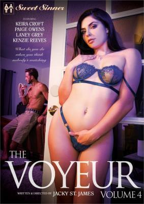 Подглядывающий 4 / The Voyeur 4 (2020, Full HD)